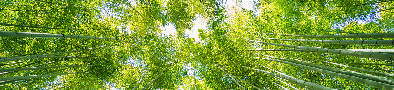 多くの著名人に愛される軽井沢