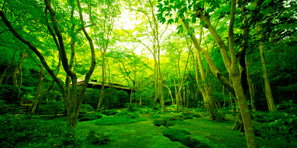 多くの著名人に愛される軽井沢