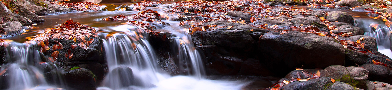 軽井沢の自然と風土